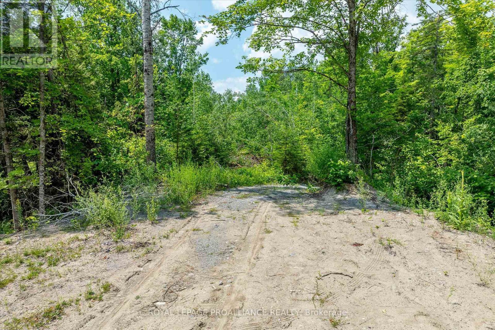 0 Pearce Road, Kawartha Lakes (Bexley), ON