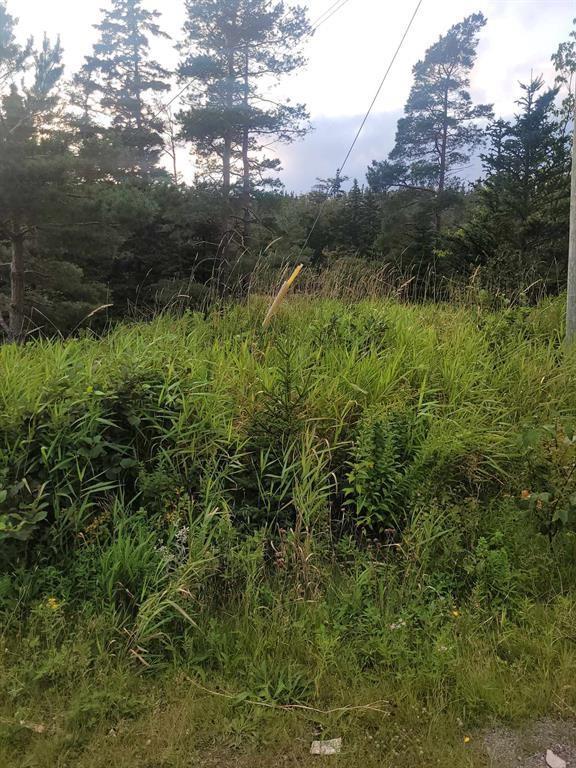 Lot 2&3-86 Conception Bay Highway, Holyrood, NL