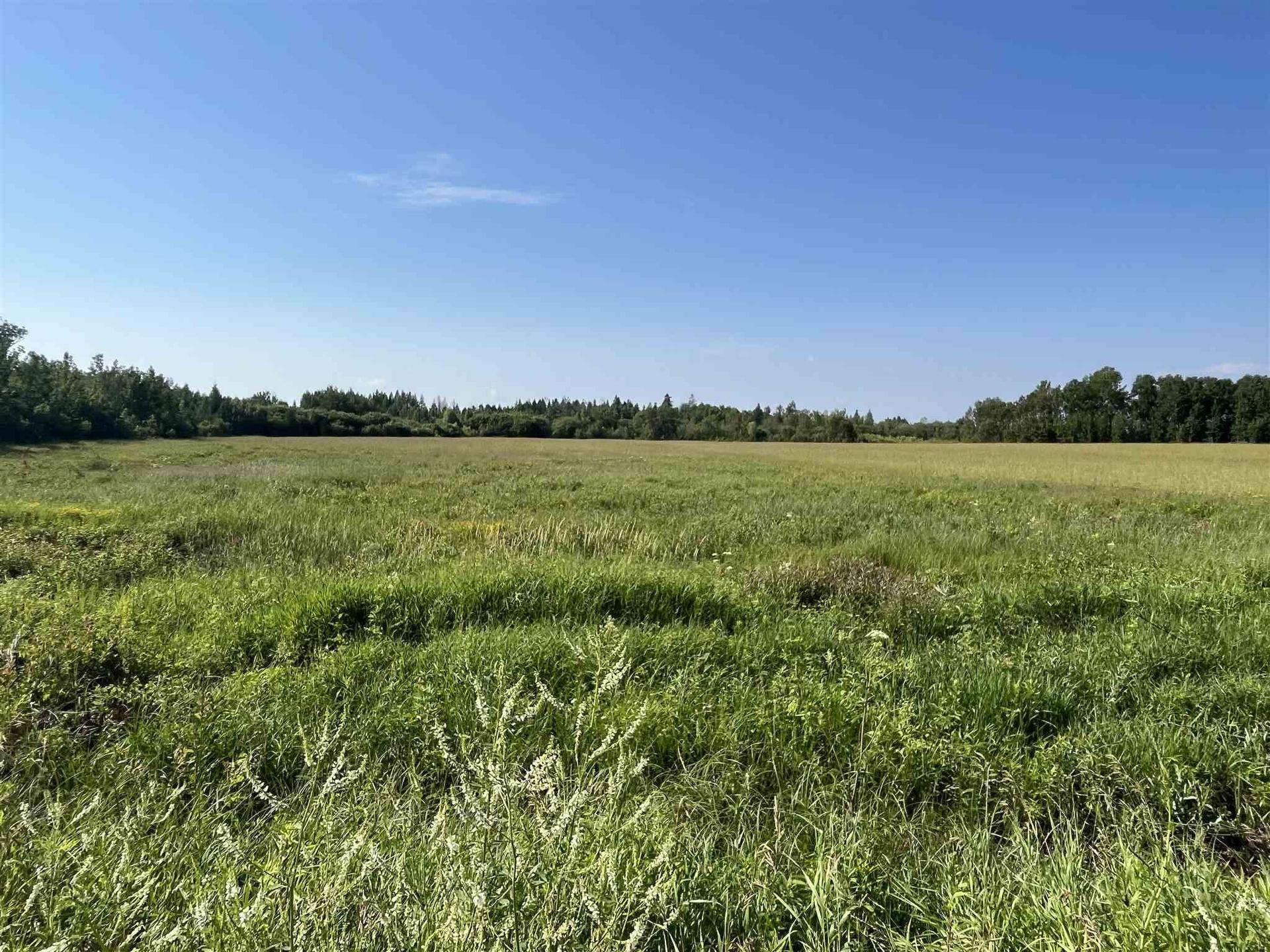 619 Cameron Road, Stratton, ON - Outdoor With View
