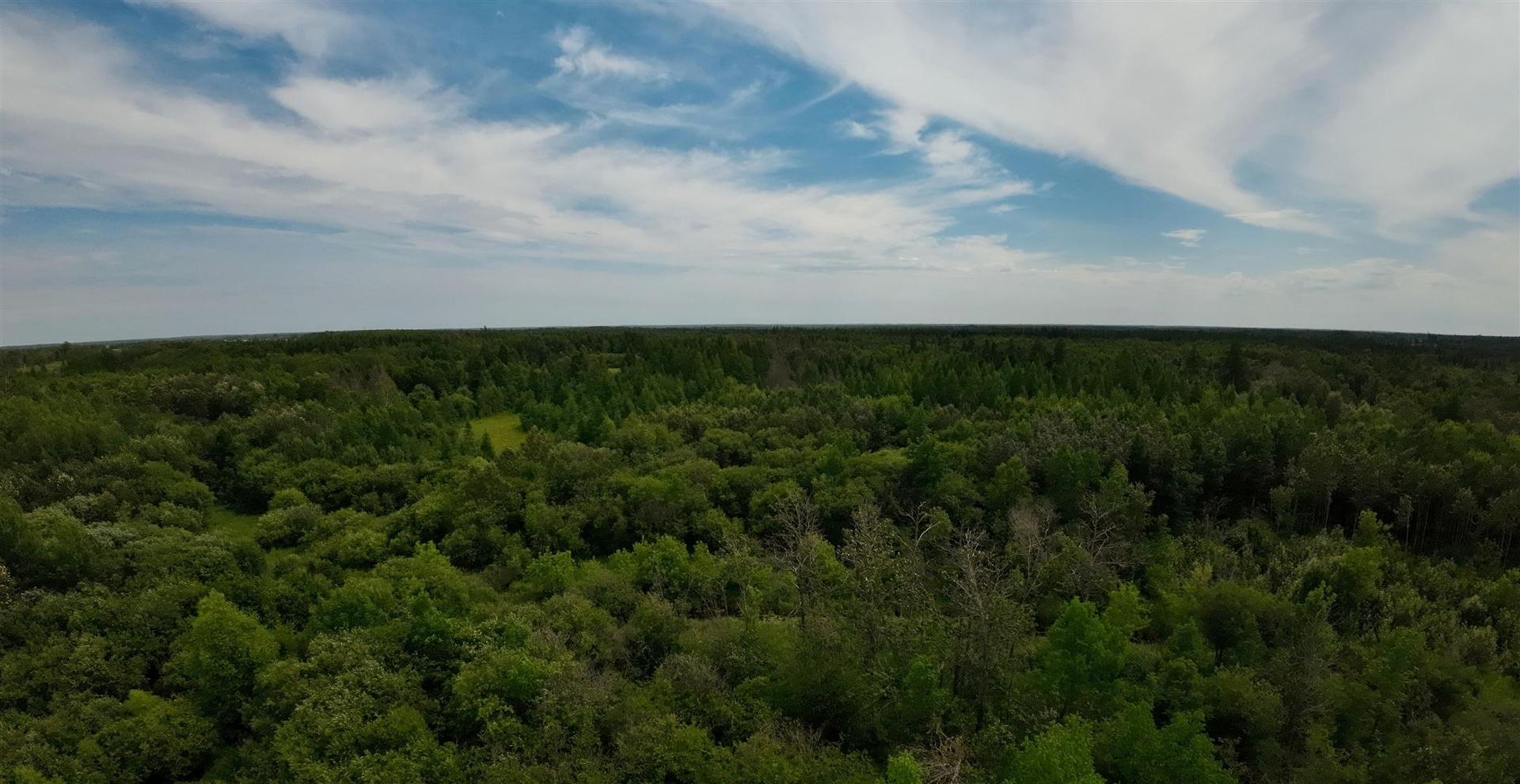 619 Cameron Road, Stratton, ON - Outdoor With View