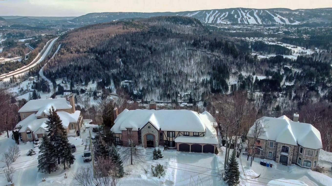 Overall view - 1485 Rue Des Quatre-Saisons, Sainte-Adèle, QC - Outdoor With View