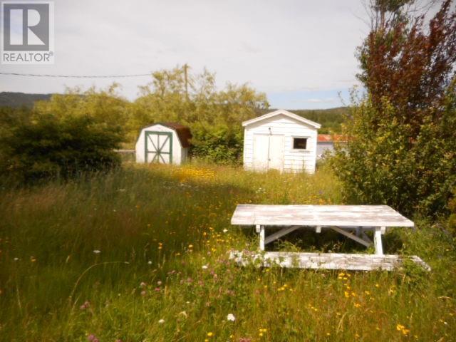 20 Main Street, Springdale, NL - Outdoor