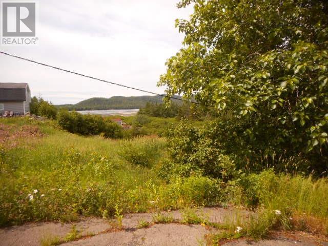 20 Main Street, Springdale, NL - Outdoor With View