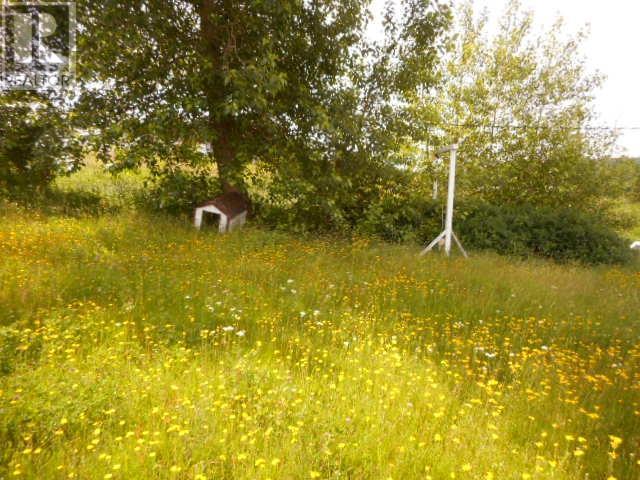 20 Main Street, Springdale, NL - Outdoor