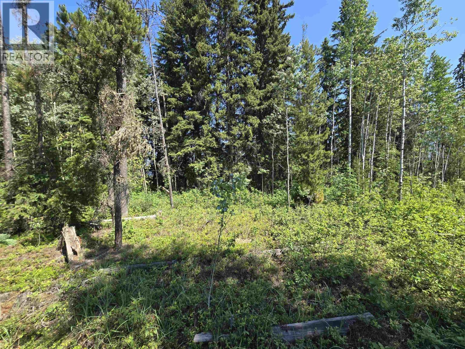 Lot 1 Pine Road, Valemount, BC