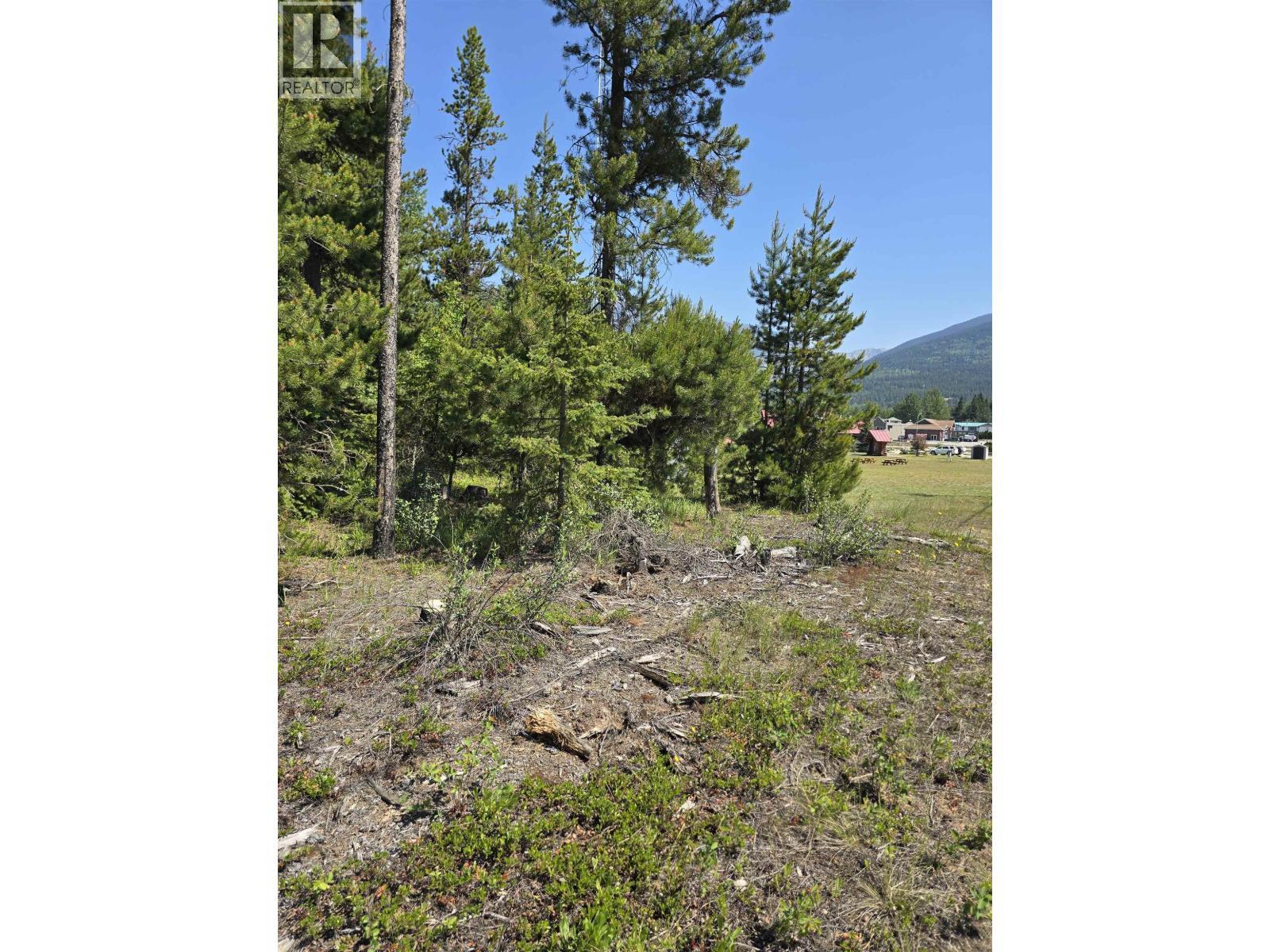 Lot 1 Pine Road, Valemount, BC