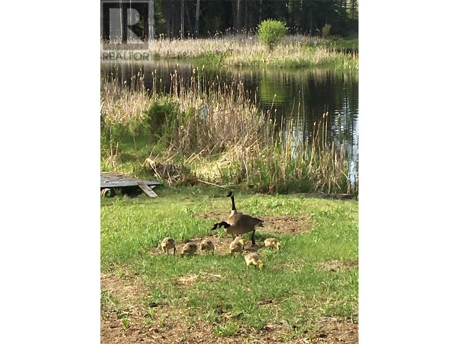 Lot K Lakeview Drive, Cranbrook, BC