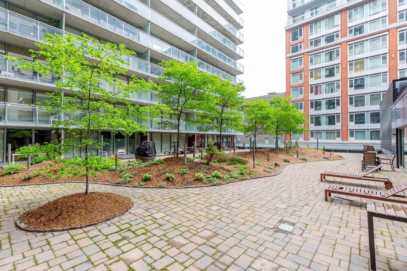 Backyard - 908-350 Boul. De Maisonneuve O., Montréal (Ville-Marie), QC - Outdoor