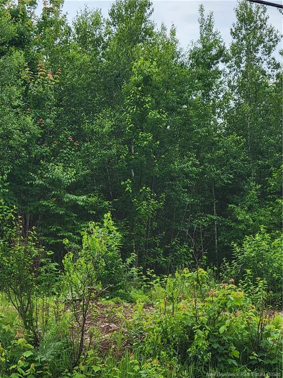 Lot 7 Route 10, Cumberland Bay, NB