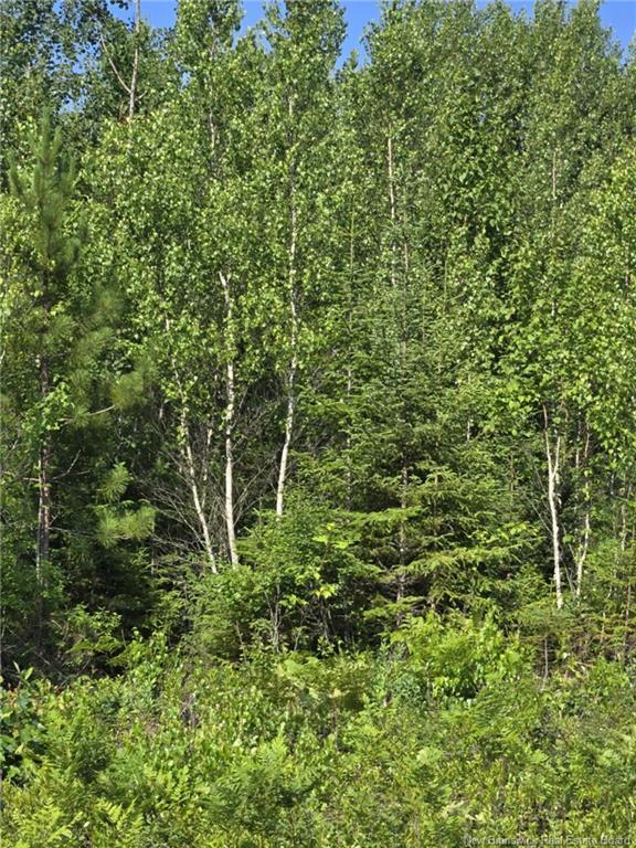 Lot 7 Route 10, Cumberland Bay, NB