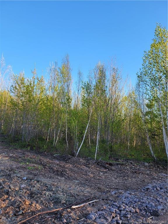 Lot 6 Route 10, Cumberland Bay, NB