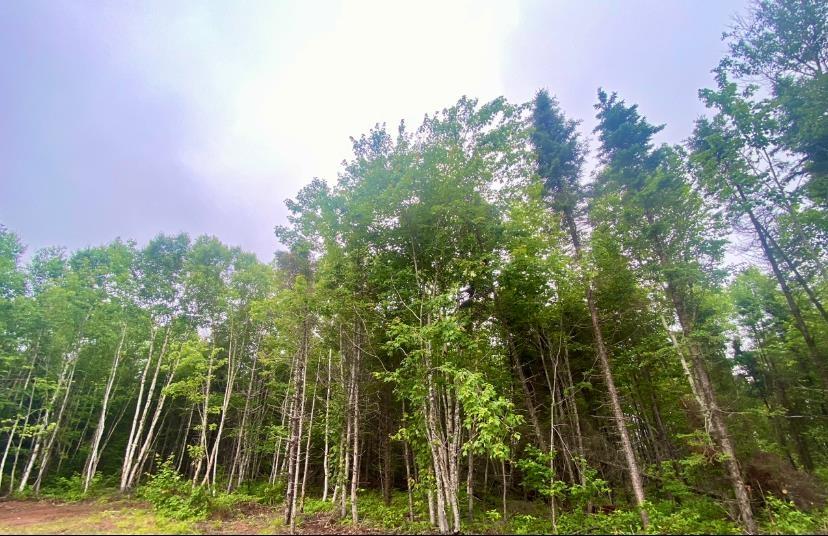 36 Francis Drive, Fortune Bridge, PE