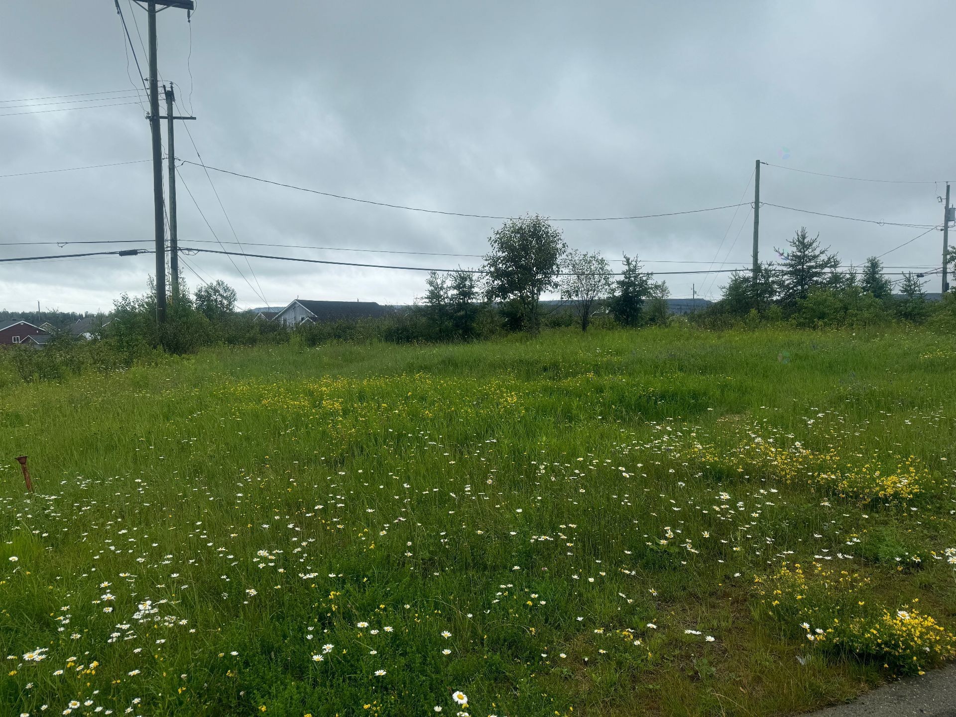 Terre/Terrain - 780 Av. Dargis-Ménard, Malartic, QC