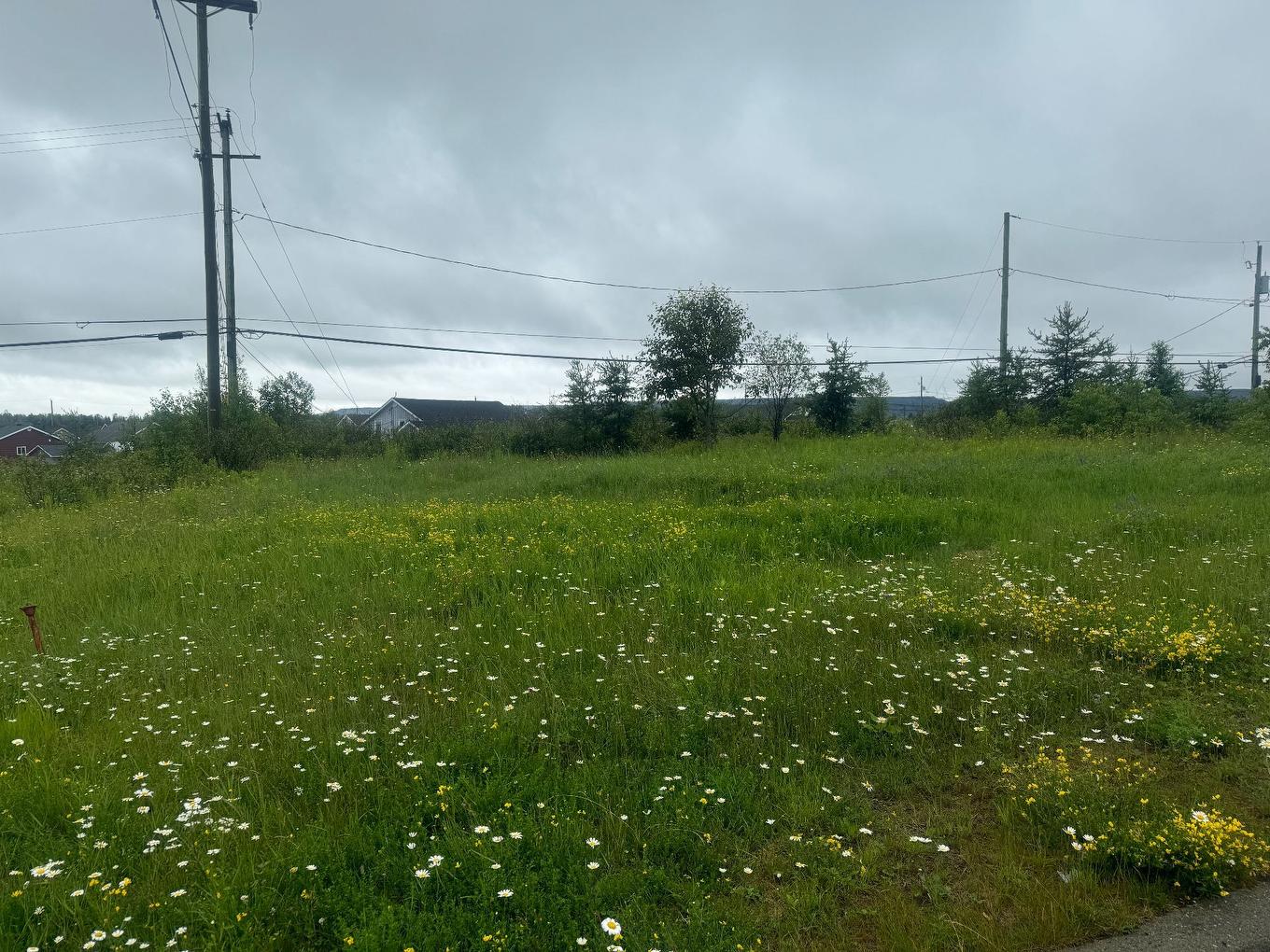 Land/Lot - 780 Av. Dargis-Ménard, Malartic, QC
