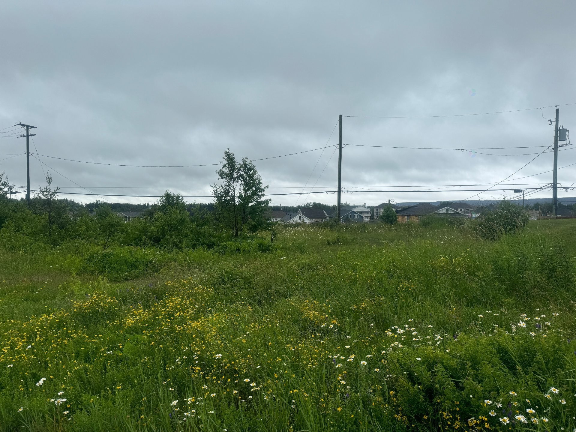 Terre/Terrain - 760 Av. Dargis-Ménard, Malartic, QC