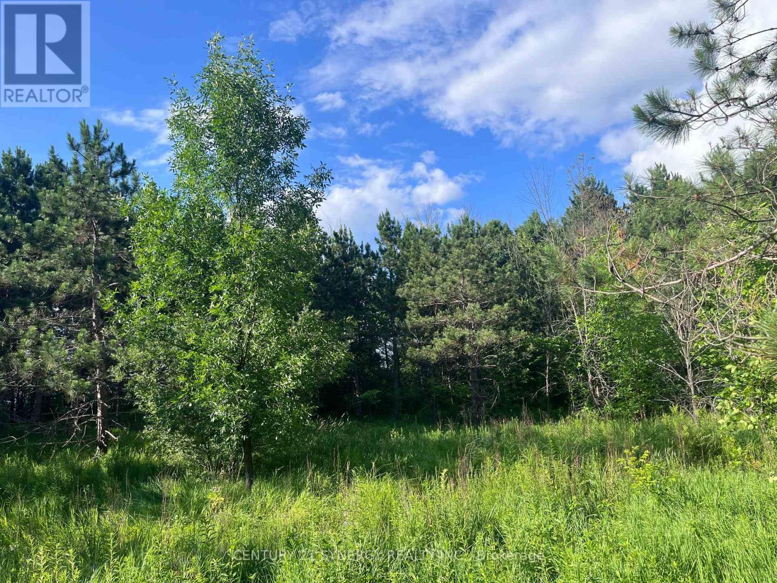 00 Russett Drive, Mcnab/Braeside, ON