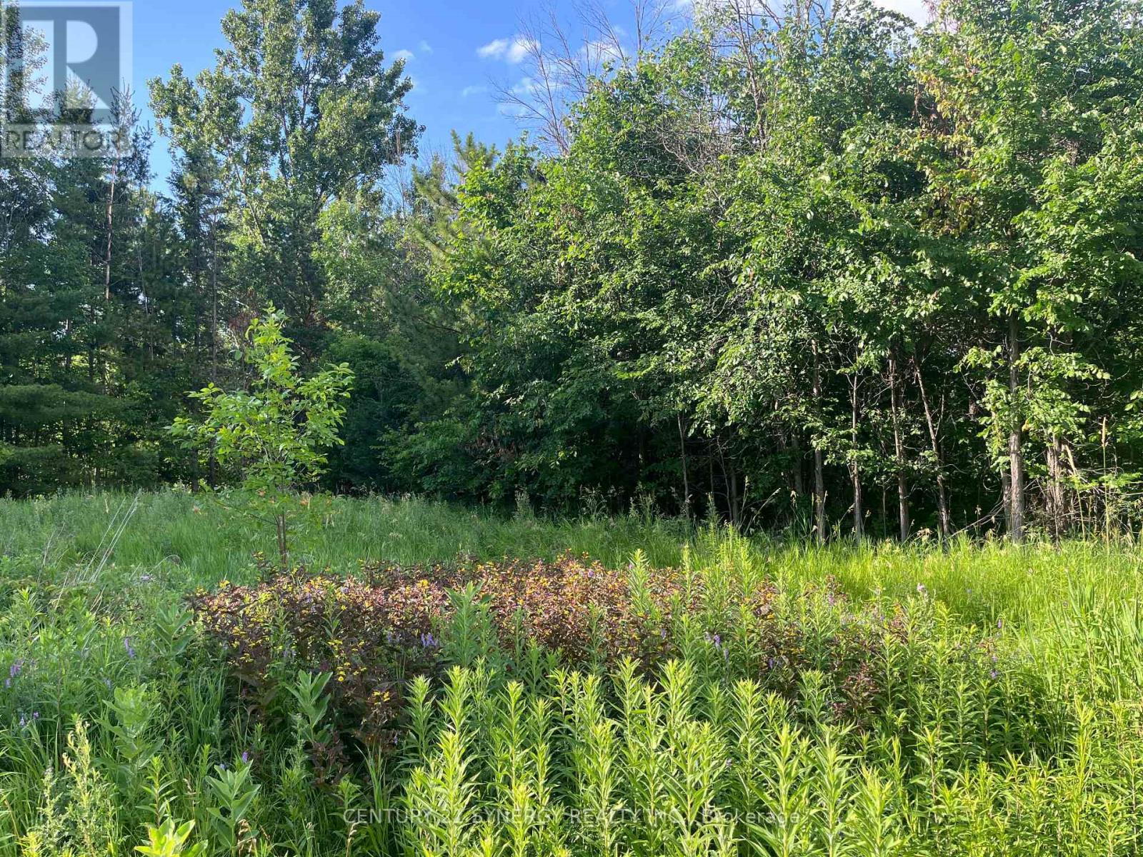 00 Russett Drive, Mcnab/Braeside, ON