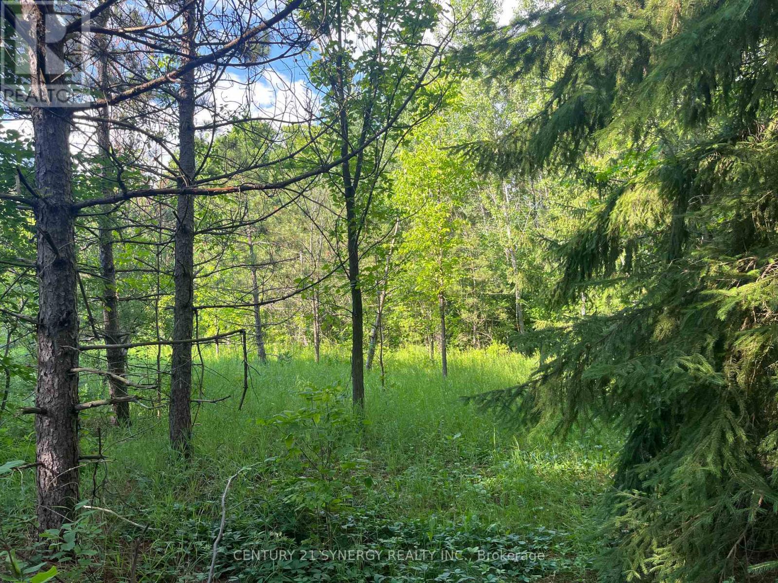 00 Russett Drive, Mcnab/Braeside, ON