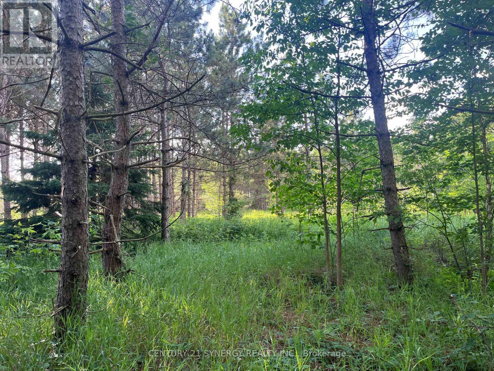 00 Russett Drive, Mcnab/Braeside, ON