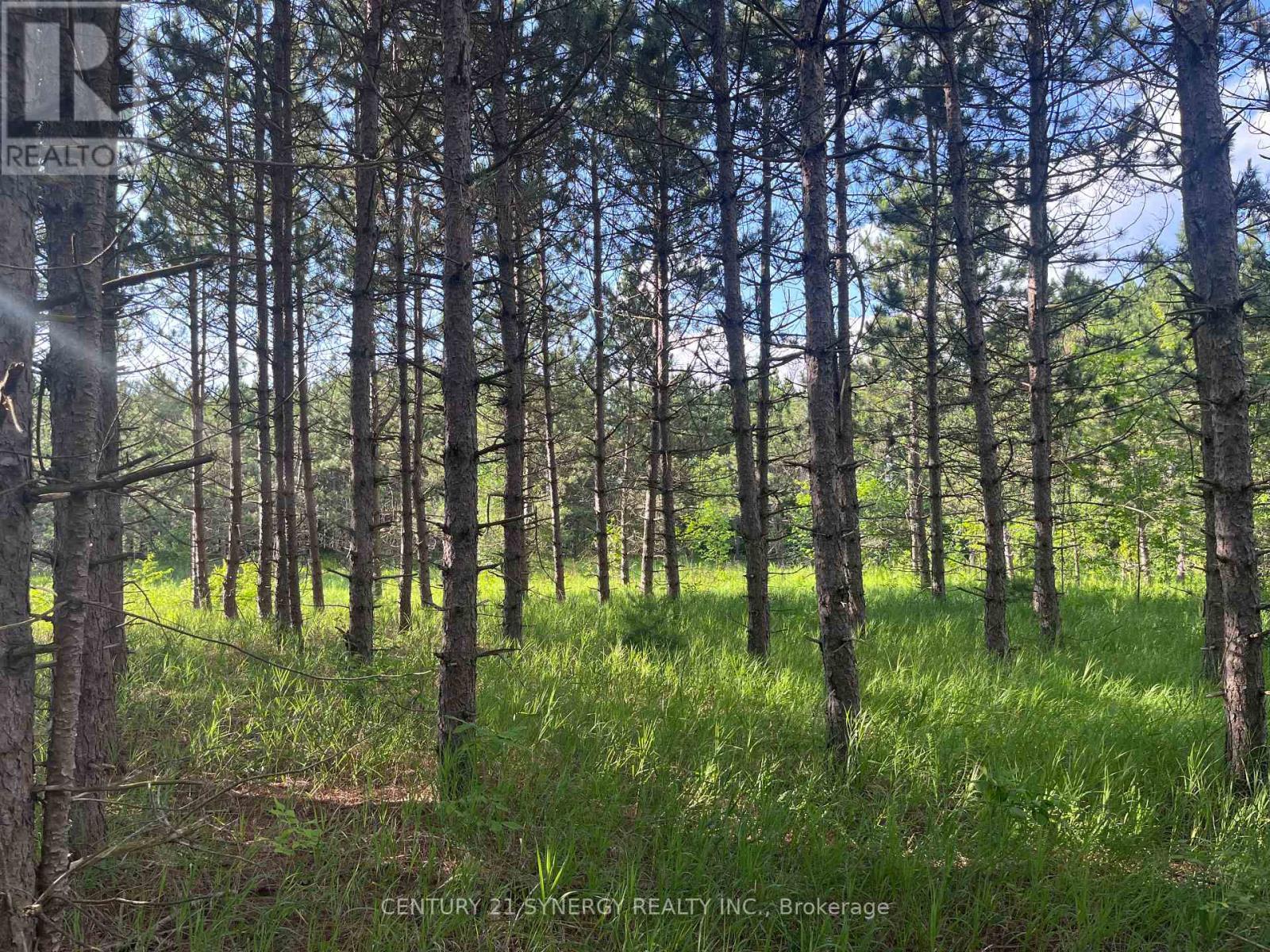 00 Russett Drive, Mcnab/Braeside, ON