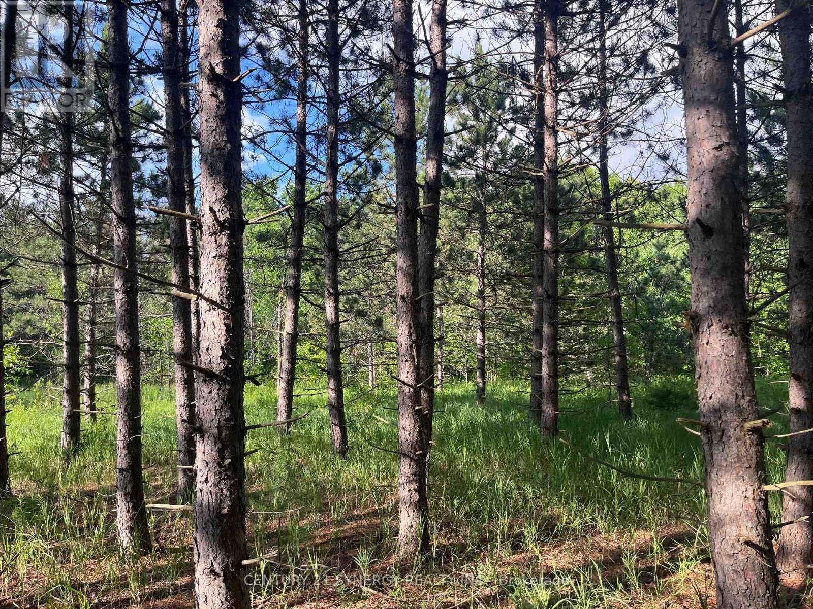 00 Russett Drive, Mcnab/Braeside, ON