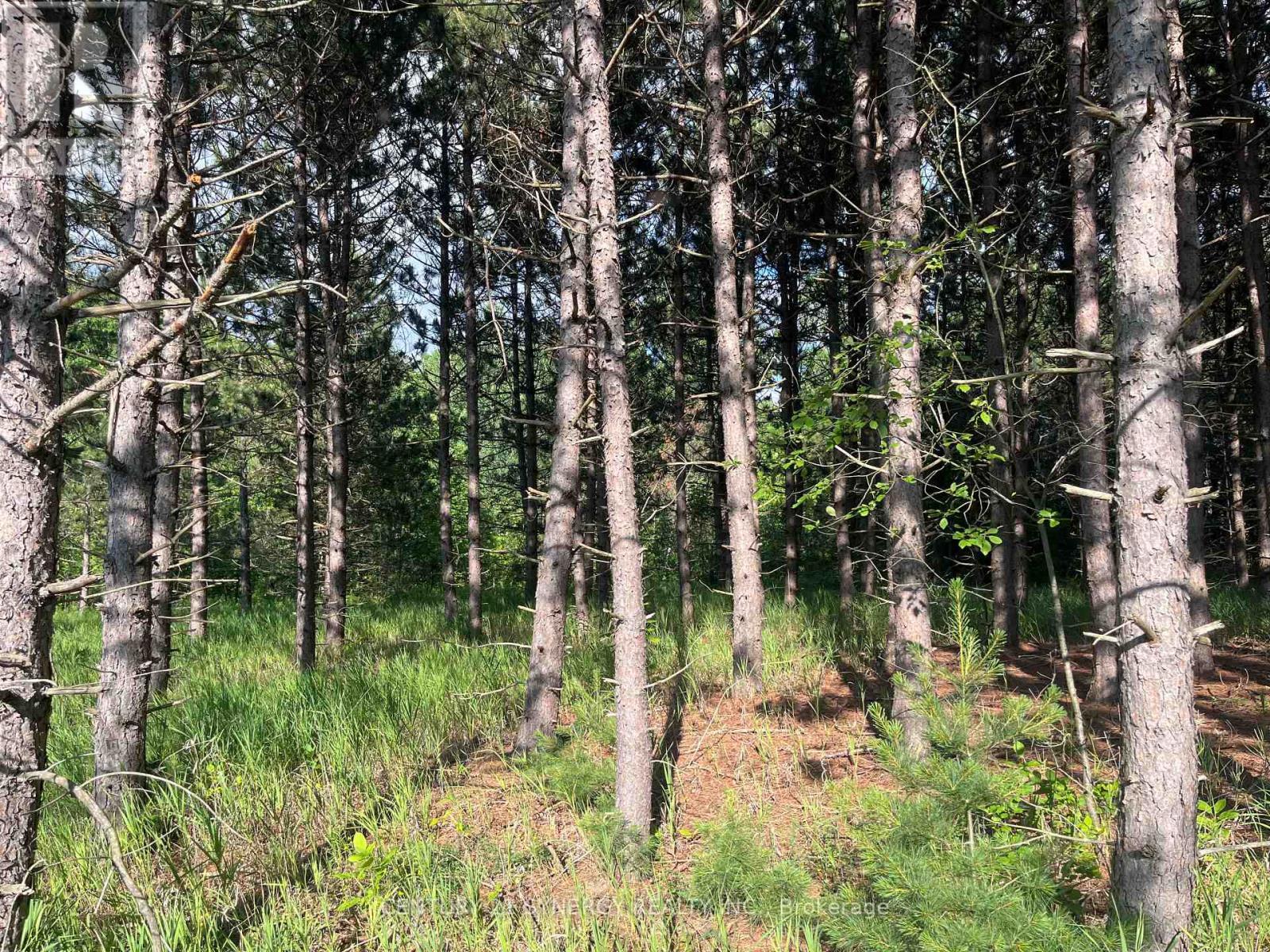 00 Russett Drive, Mcnab/Braeside, ON