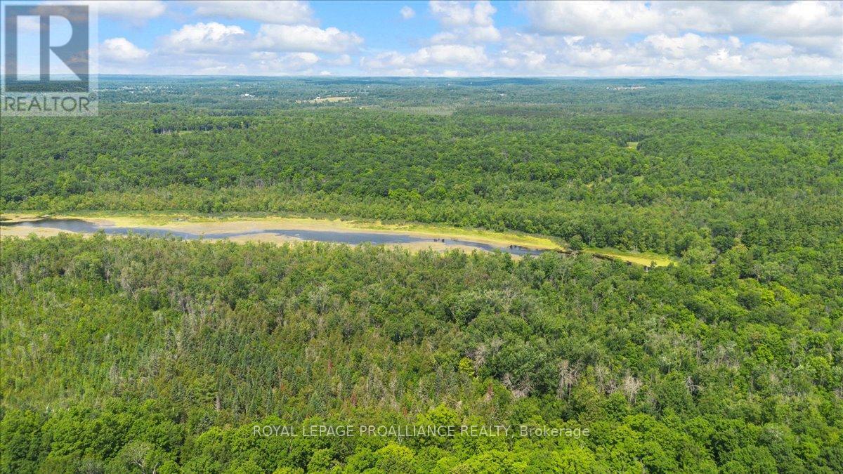 0 Rapids Court, Tweed (Tweed (Village)), ON