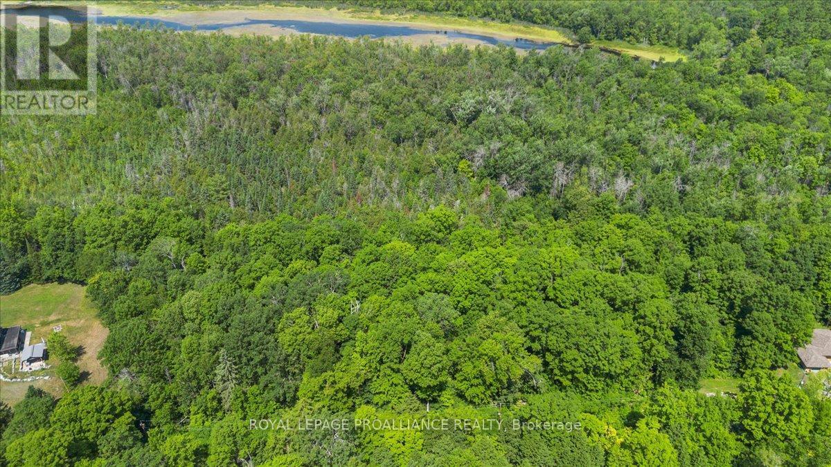 0 Rapids Court, Tweed (Tweed (Village)), ON