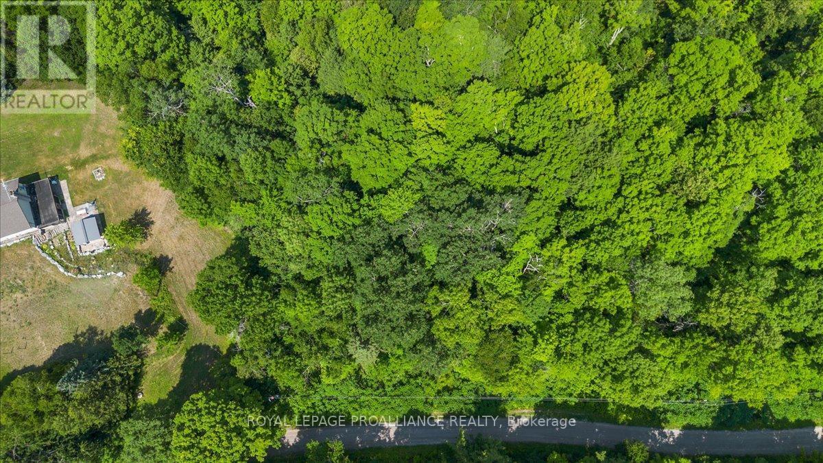 0 Rapids Court, Tweed (Tweed (Village)), ON