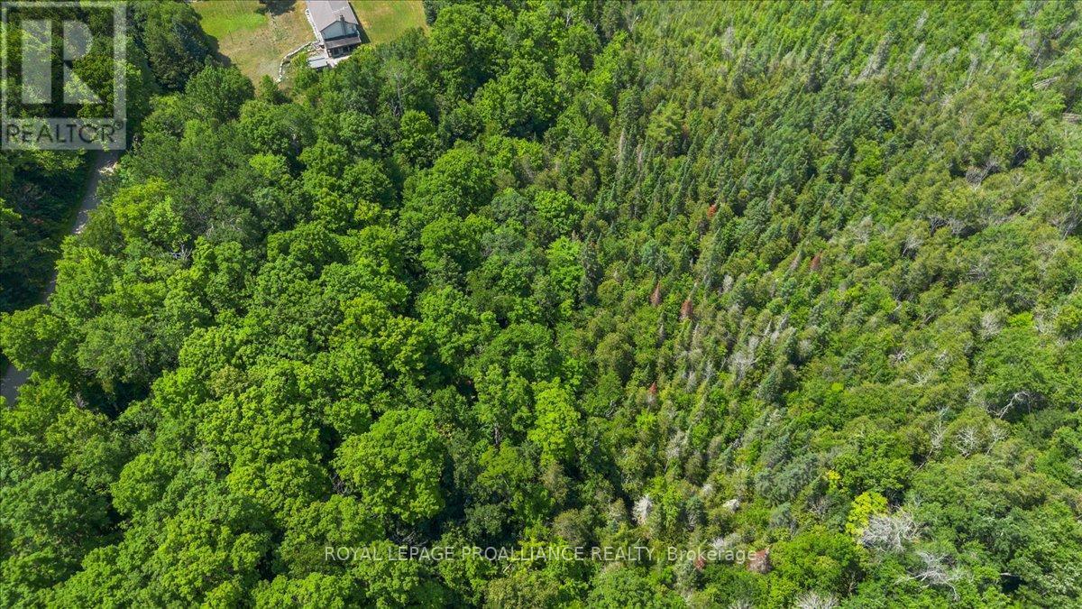 0 Rapids Court, Tweed (Tweed (Village)), ON