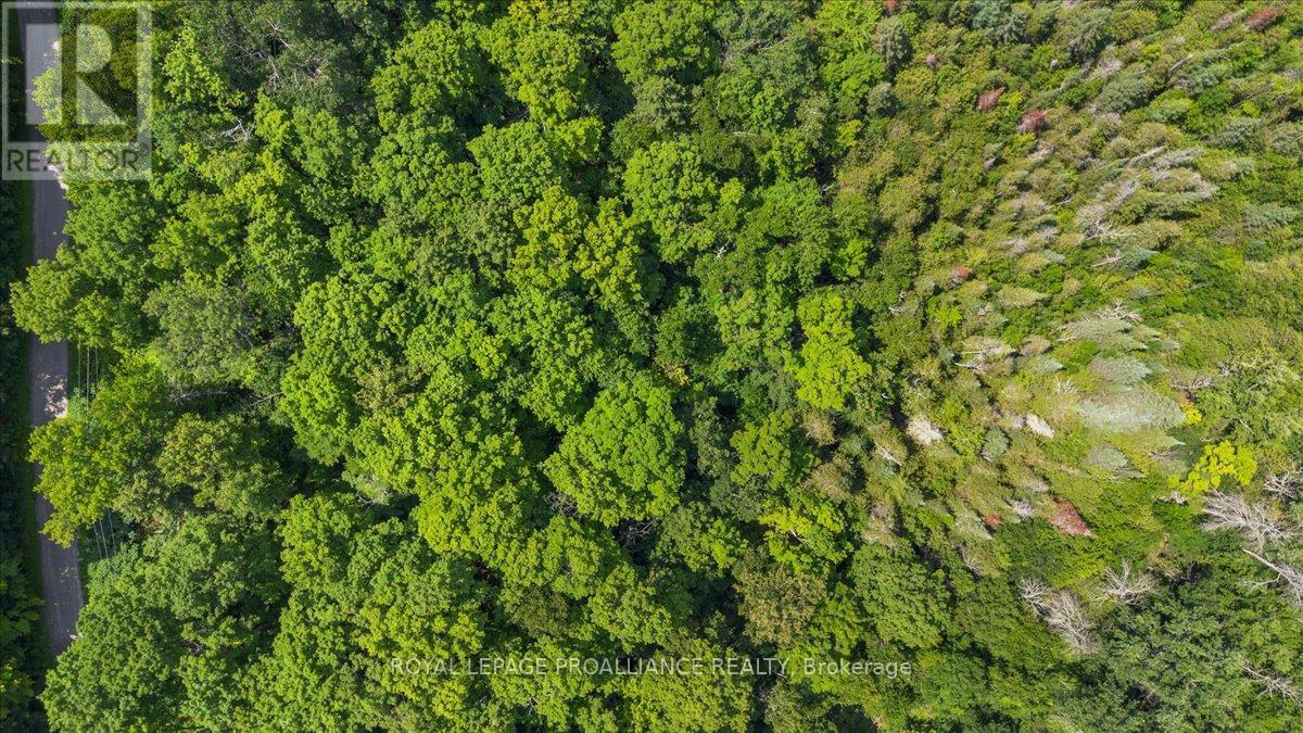 0 Rapids Court, Tweed (Tweed (Village)), ON