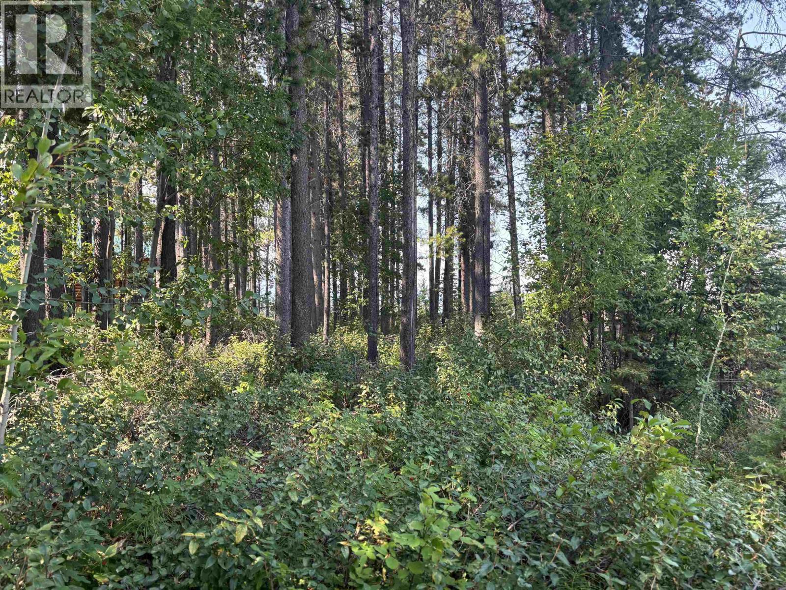 19559 Chilcotin 20 Highway, Williams Lake, BC