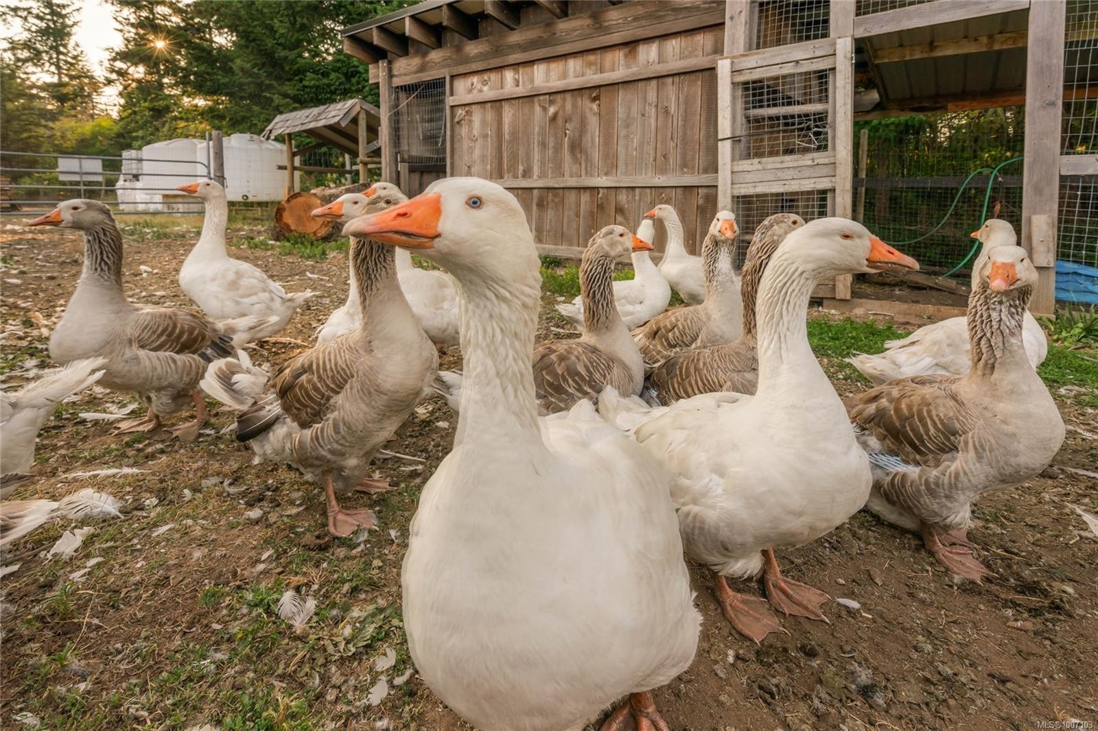 2400 Anderton Rd, Comox, BC