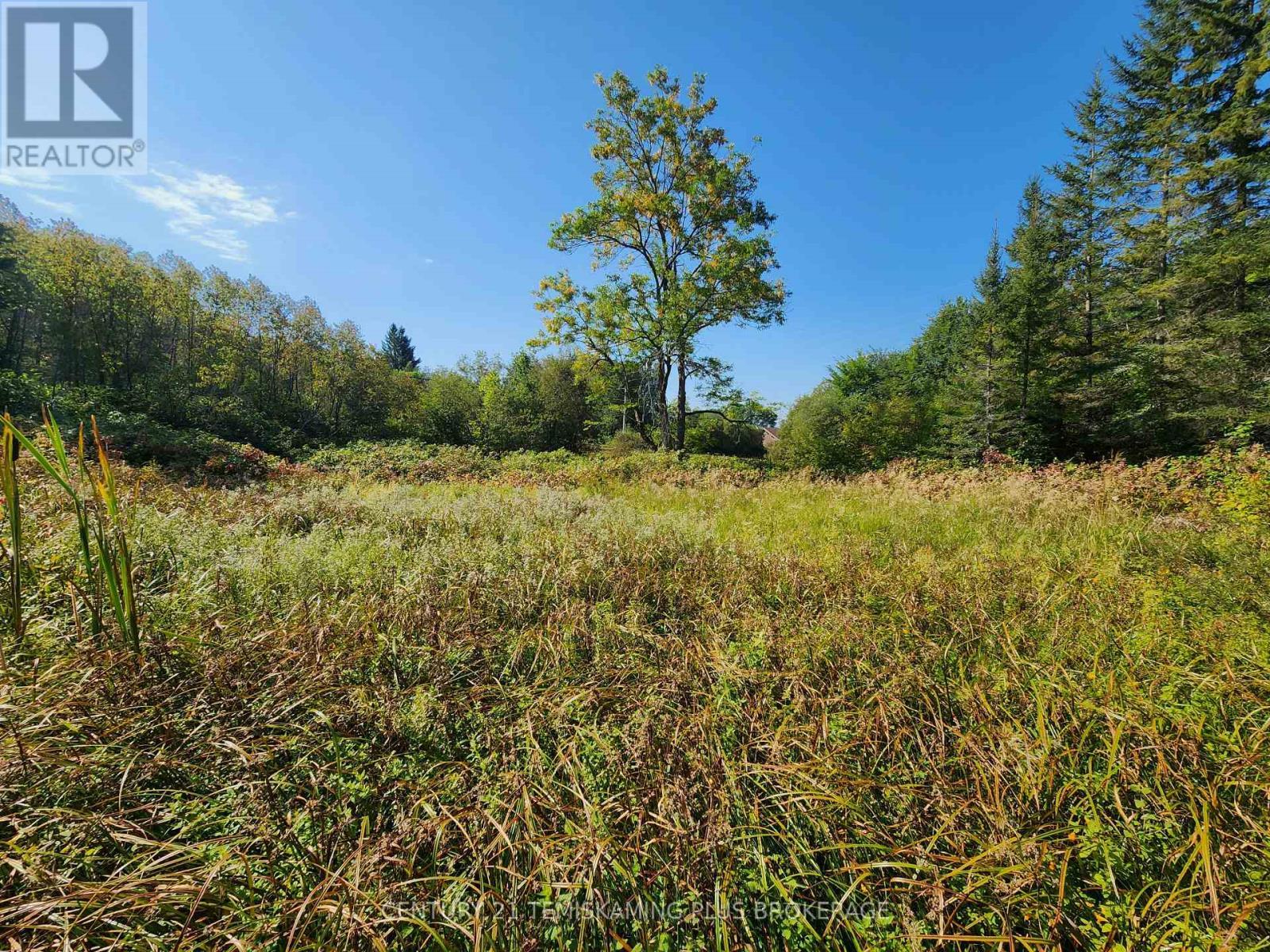 Lt 7-9 Main Street, Charlton And Dack, ON