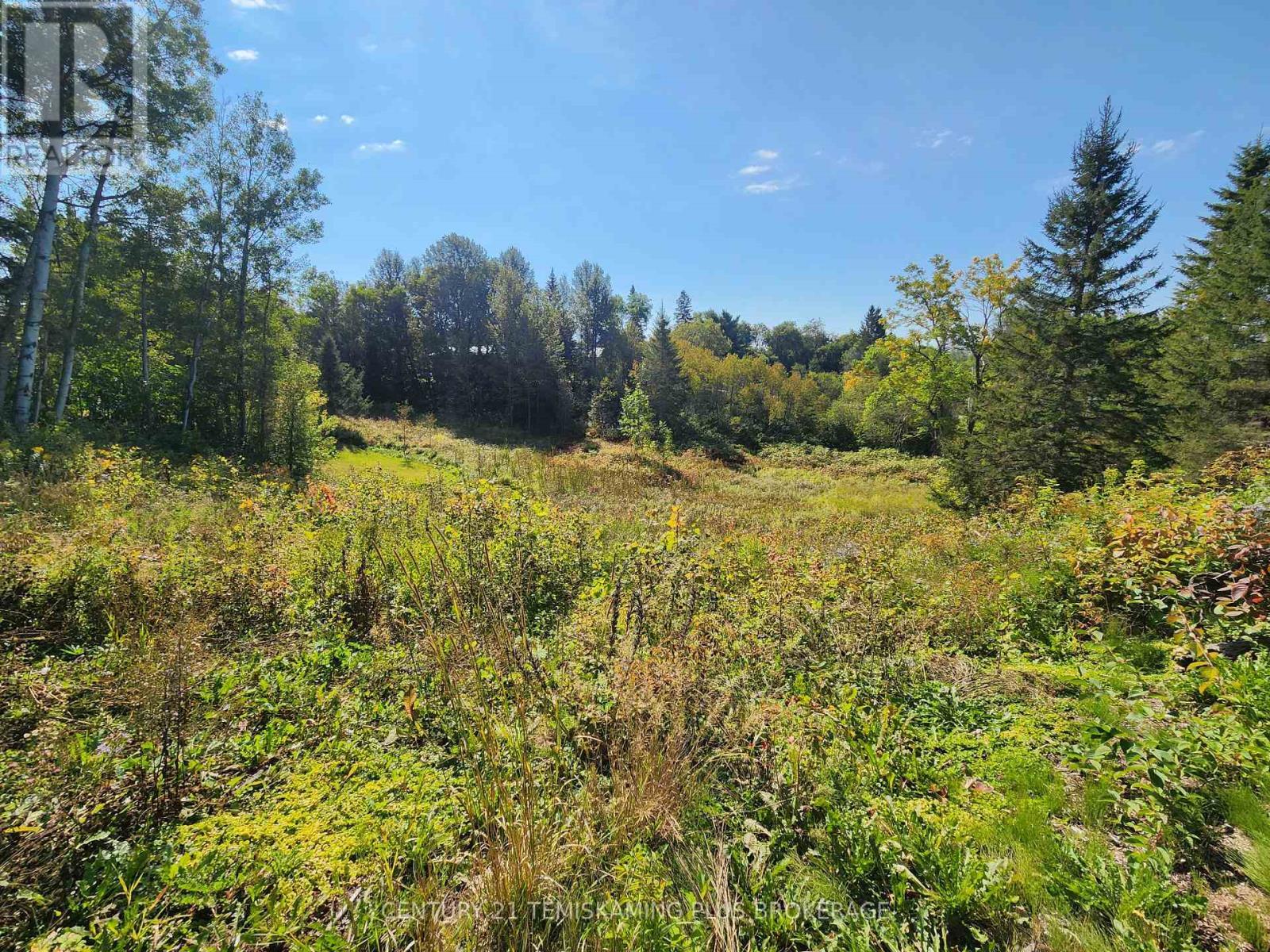 Lt 7-9 Main Street, Charlton And Dack, ON