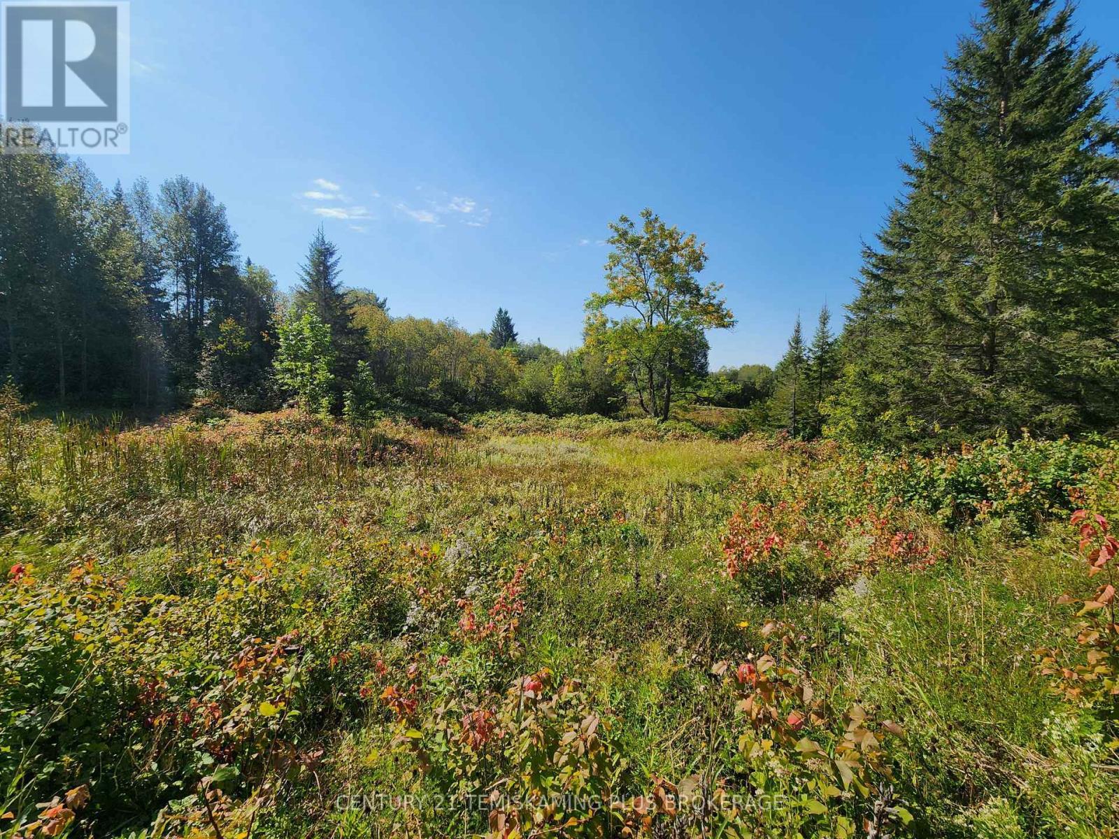 Lt 7-9 Main Street, Charlton And Dack, ON