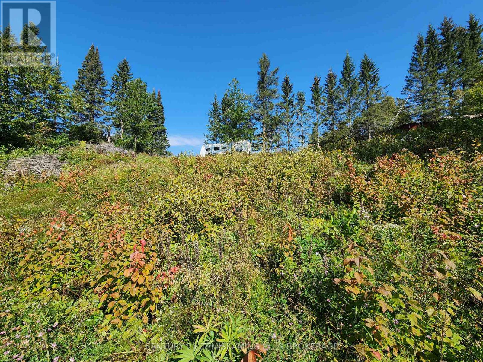 Lt 7-9 Main Street, Charlton And Dack, ON