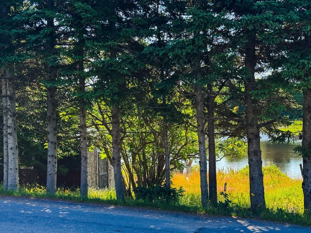 15 Gully Road, Bay Roberts, NL