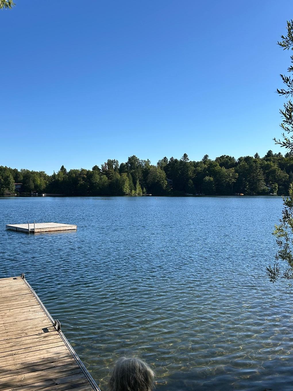 À proximité - 202 Ch. Des Chênes, Sainte-Anne-Des-Lacs, QC - Outdoor With Body Of Water With View