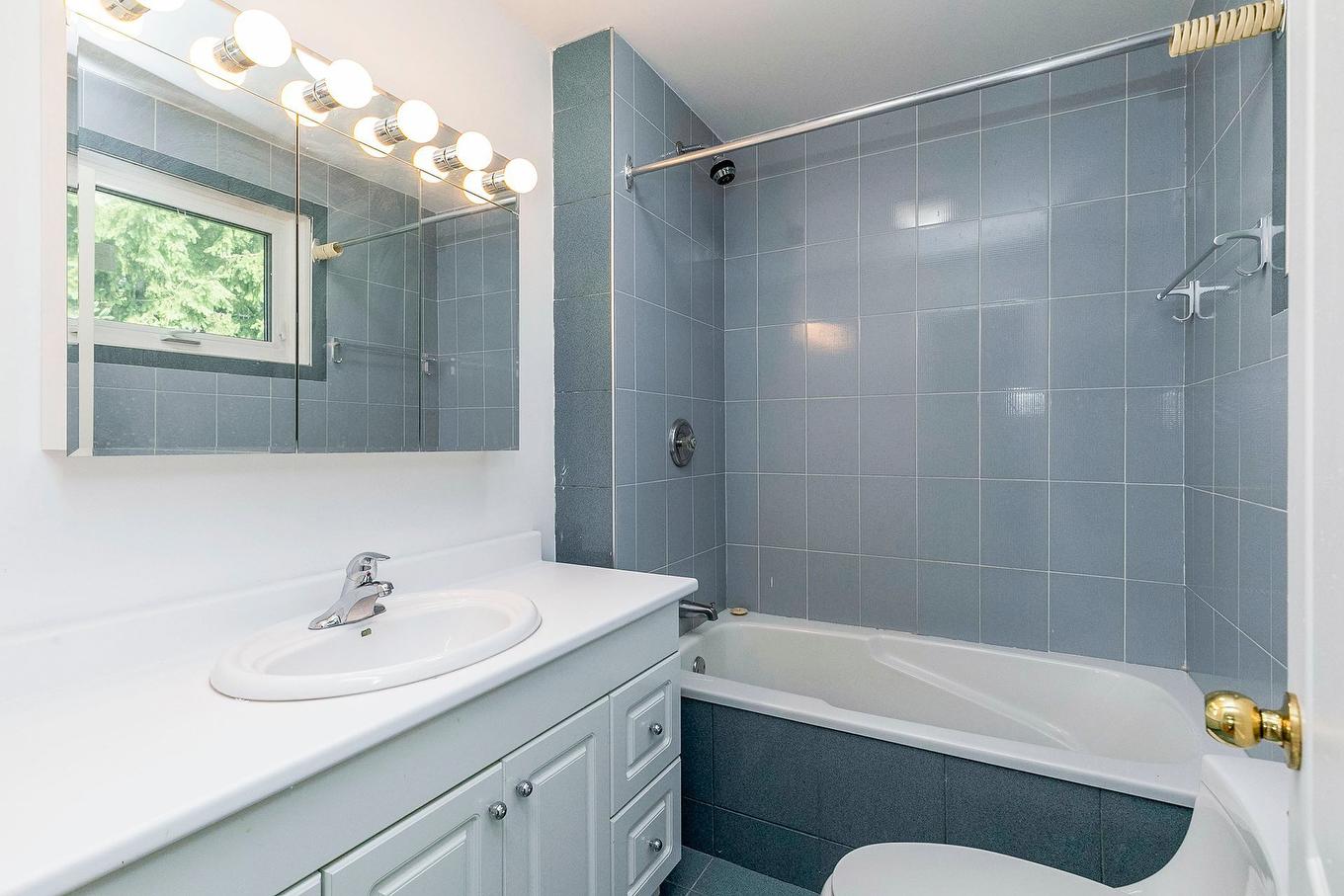 Salle de bains - 97 Rue Chatillon, Dollard-Des-Ormeaux, QC - Indoor Photo Showing Bathroom