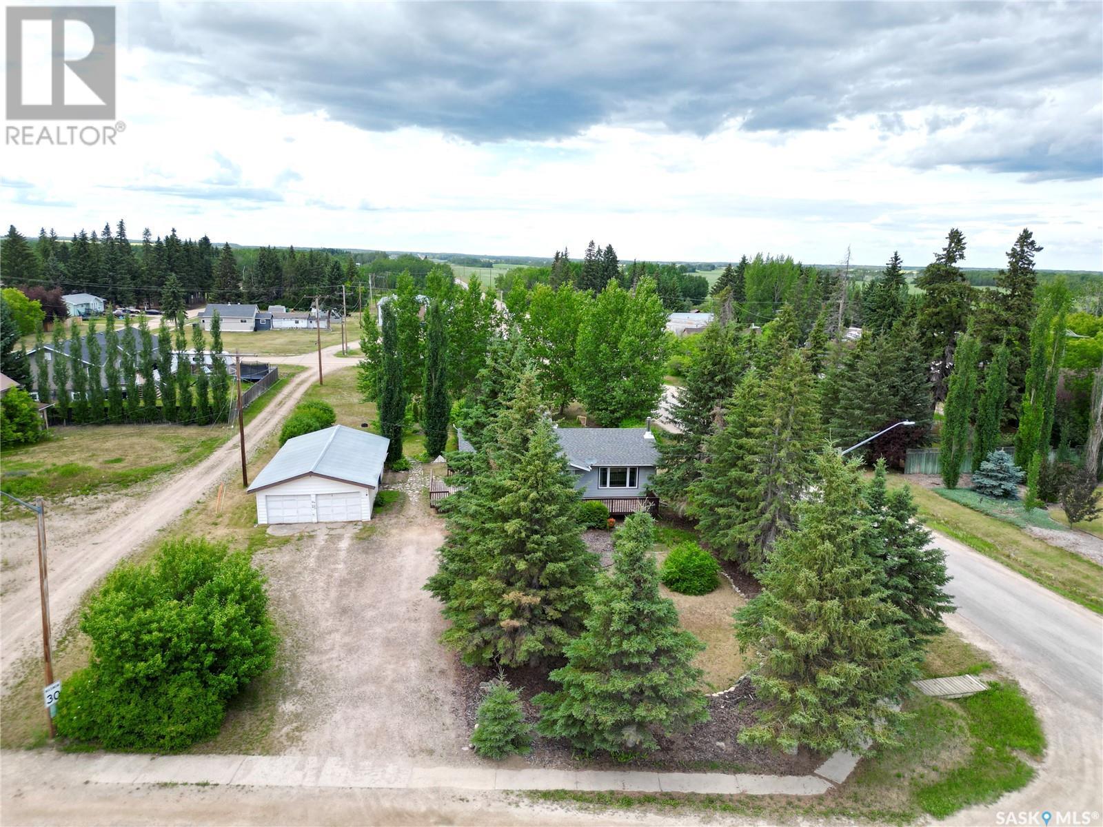 101 1St Avenue, Medstead, SK - Outdoor With View