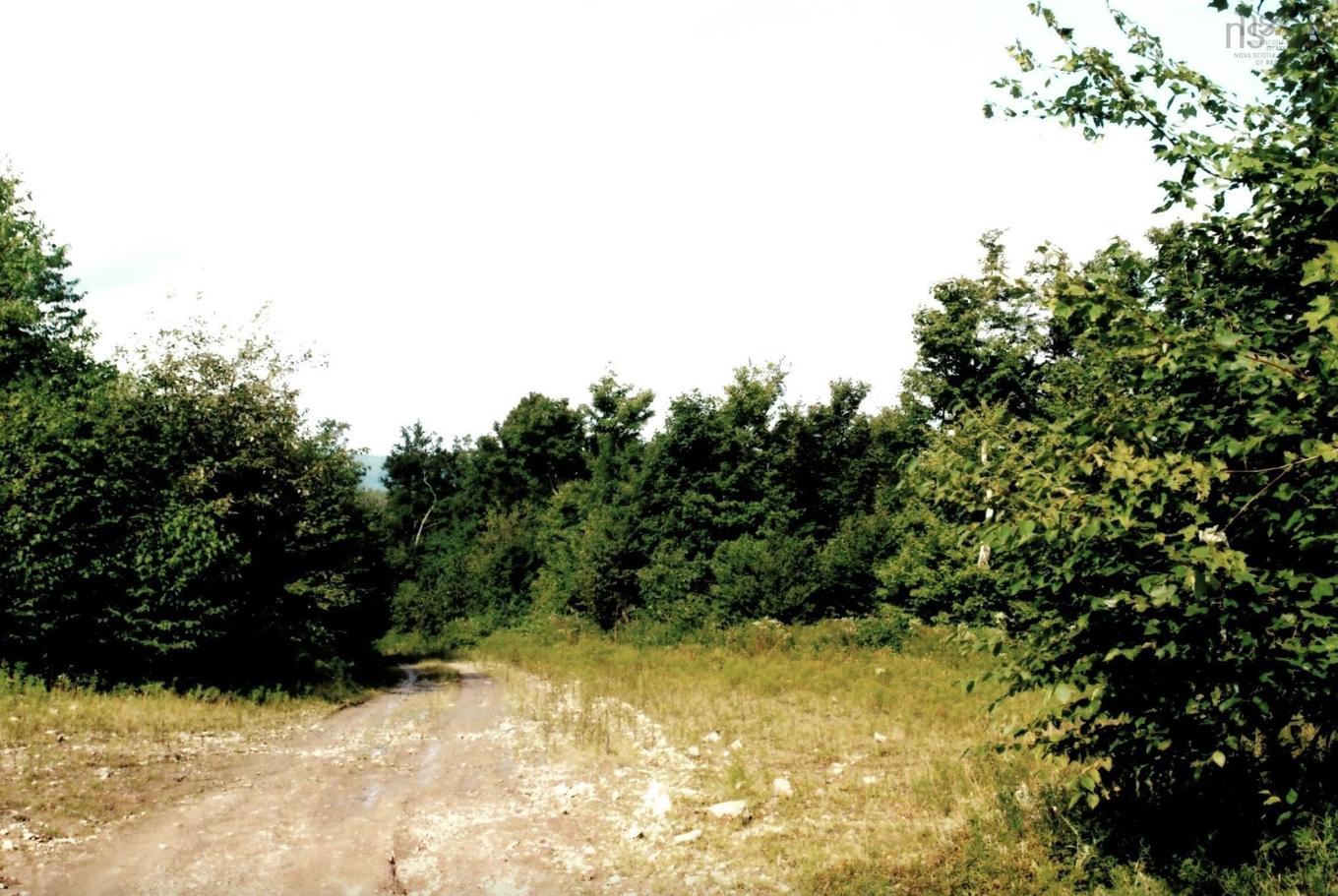 Lots 2 & 3 Big Brook Road, Big Brook, NS