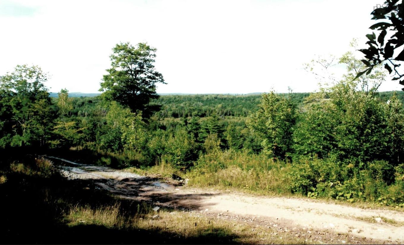 Lots 2 & 3 Big Brook Road, Big Brook, NS