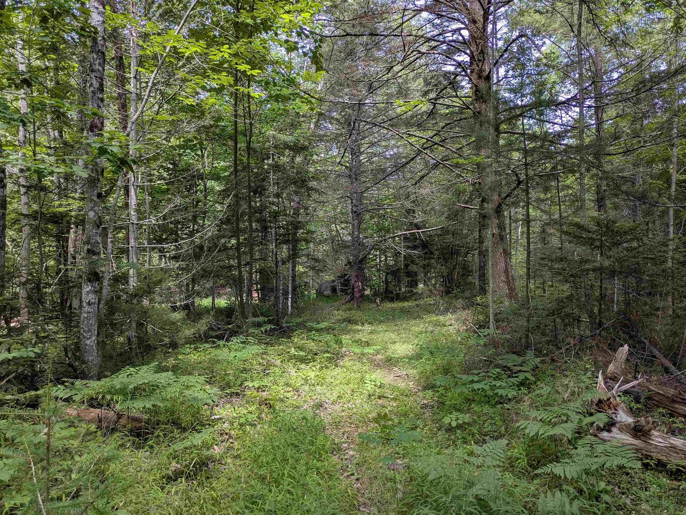 Lot Mill Road, Round Hill, NS