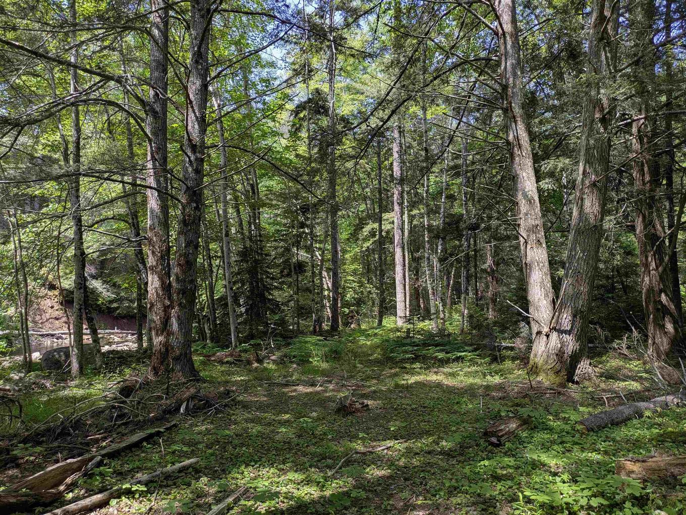 Lot Mill Road, Round Hill, NS