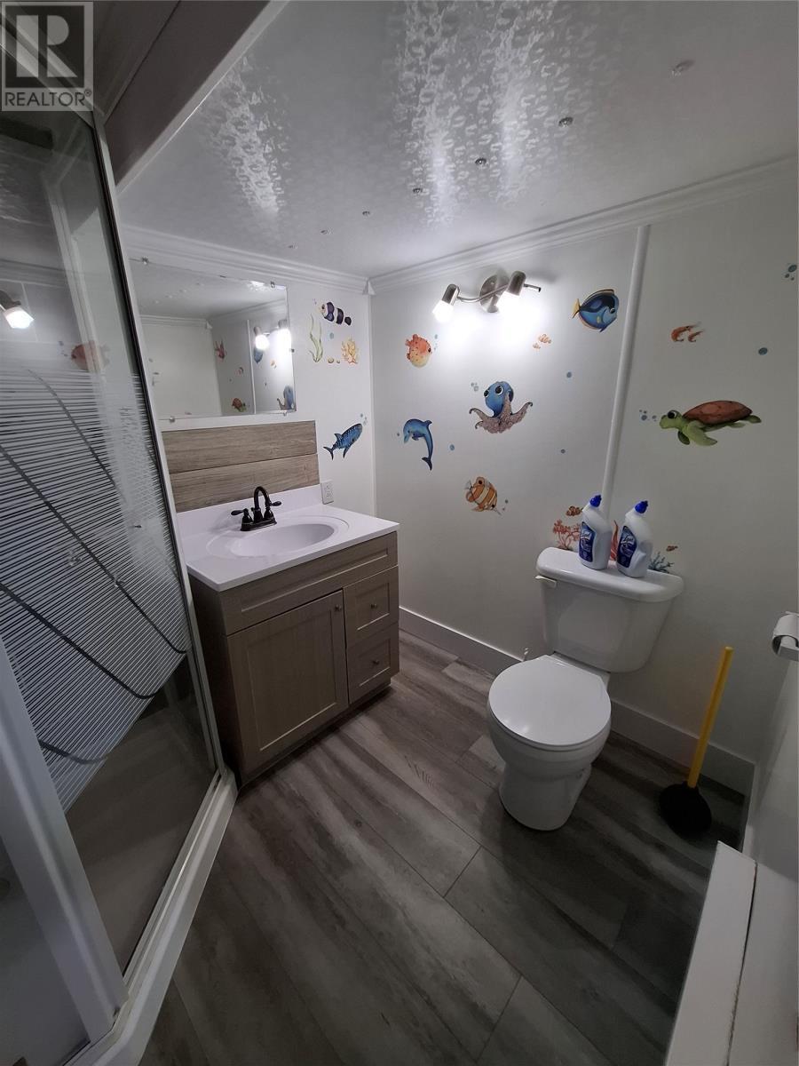 80A Loop Road, Anchor Point, NL - Indoor Photo Showing Bathroom