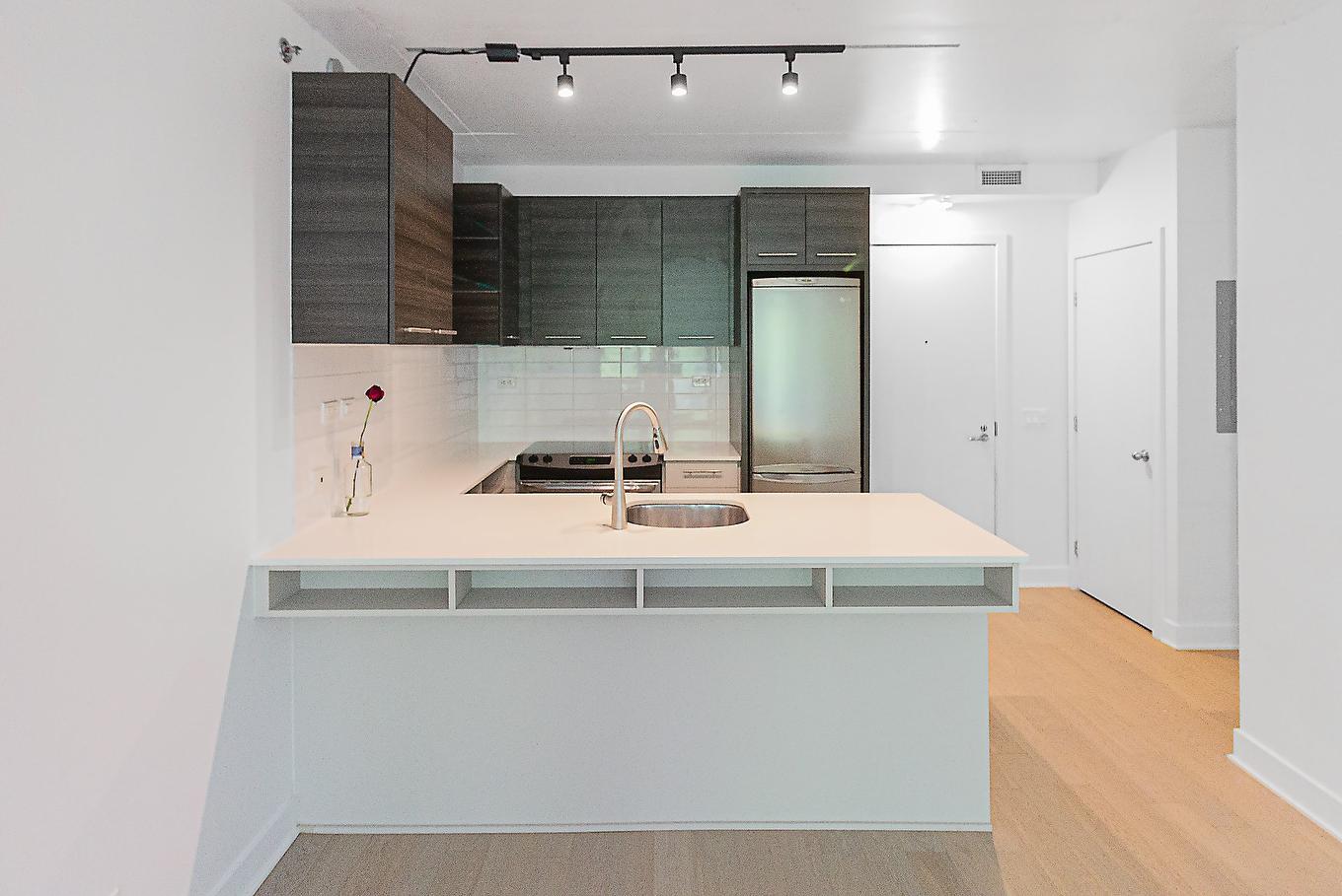 Cuisine - 310-1414 Rue Chomedey, Montréal (Ville-Marie), QC - Indoor Photo Showing Kitchen