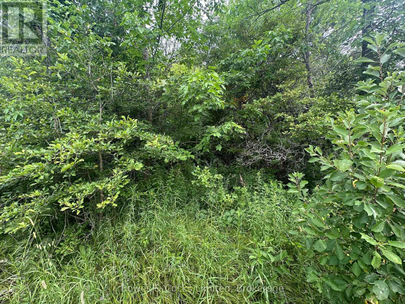 0 Centre Line Road, Marmora And Lake (Marmora Ward), ON