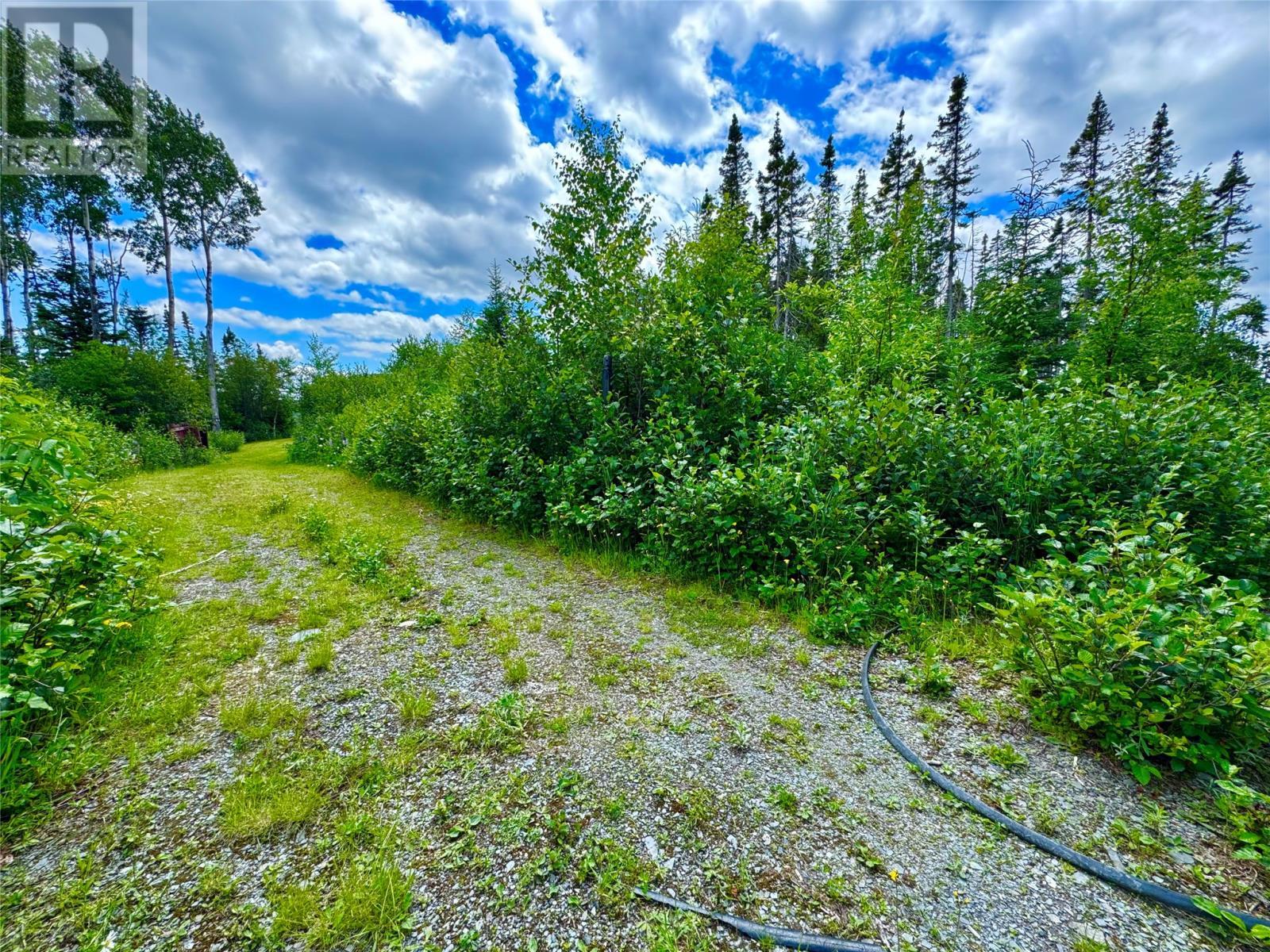 0 4Th Pond, Gander River, NL - Outdoor