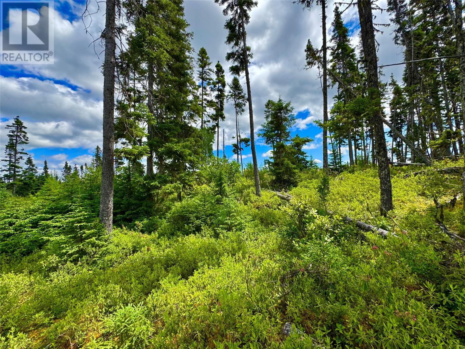 0 4Th Pond, Gander River, NL - Outdoor With View
